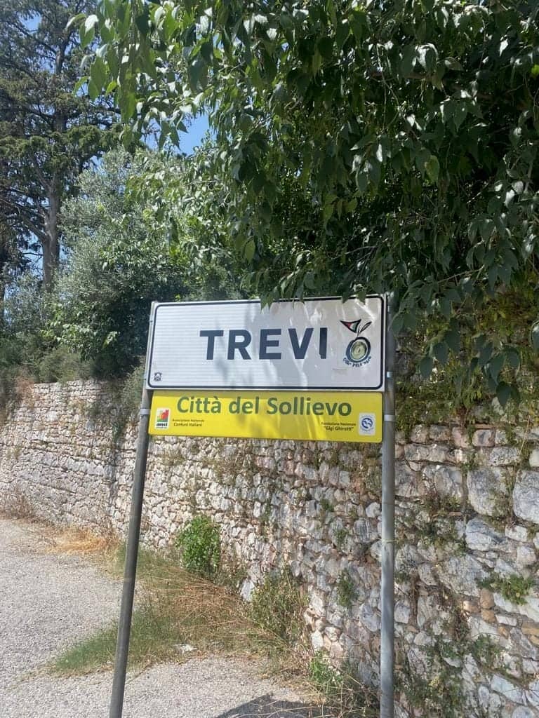 Il cartello d'ingresso di Trevi, con il logo a forma di oliva